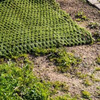 Husqvarna Hybrid-Gras / Hybrid-Rasen Kit 1x1 m